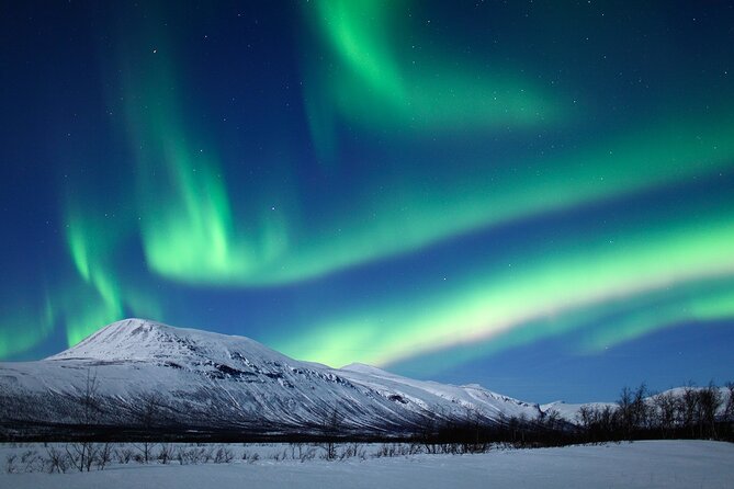 Rovaniemi Aurora Hunting Tour - Rovaniemi’s Aurora advantage: good odds, not magic