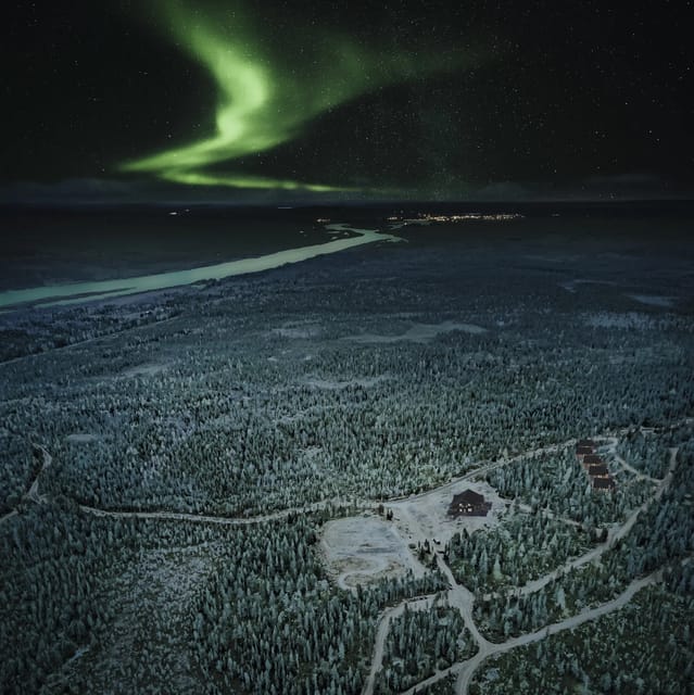 Rovaniemi: Aurora Hunting Tour in the Forest with Hot Drinks - Key points worth knowing before you go