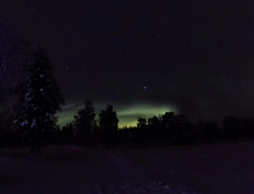 Rovaniemi: Aurora Hunting Tour in the Forest with Hot Drinks - Staying warm without turning the night into a wrestling match