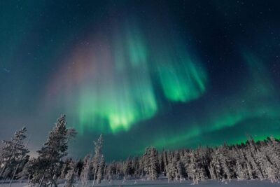 Rovaniemi: Aurora Hunting Tour in the Forest with Hot Drinks - Pickup in Rovaniemi, then straight into the night