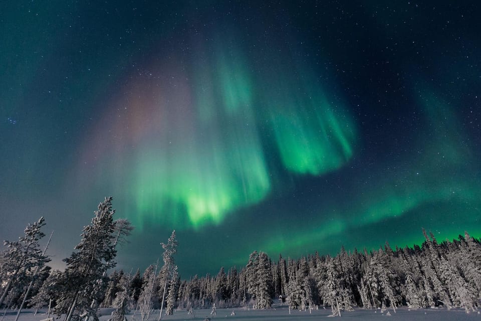 Rovaniemi: Aurora Hunting Tour in the Forest with Hot Drinks - Pickup in Rovaniemi, then straight into the night