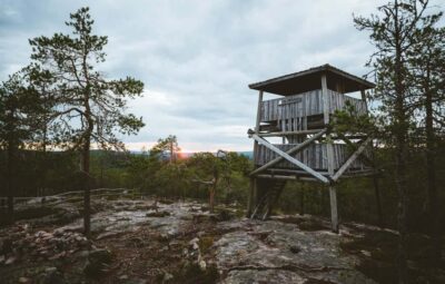 Rovaniemi: Auttiköngäs Waterfalls Hike Tour & Barbeque - The 6-hour rhythm: pickup, trail time, then a fireside BBQ