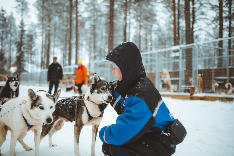 Rovaniemi: Early Winter Husky Sled Ride - Key Moments That Make This Ride Worth It