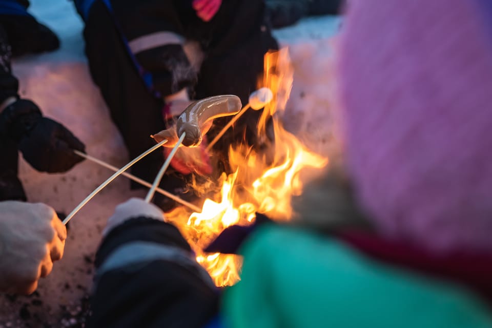 Rovaniemi: Family Snowmobile Trip with Guide and Picnic - Who This Trip Best Suits in Rovaniemi