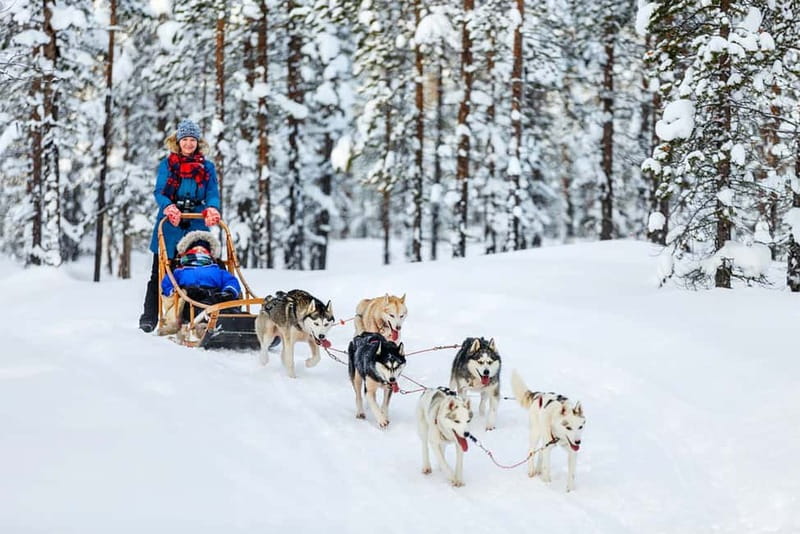 Rovaniemi: Full-Day Highlights Tour with Buffet Lunch - Buffet Lunch and the Rhythm of a Winter Day