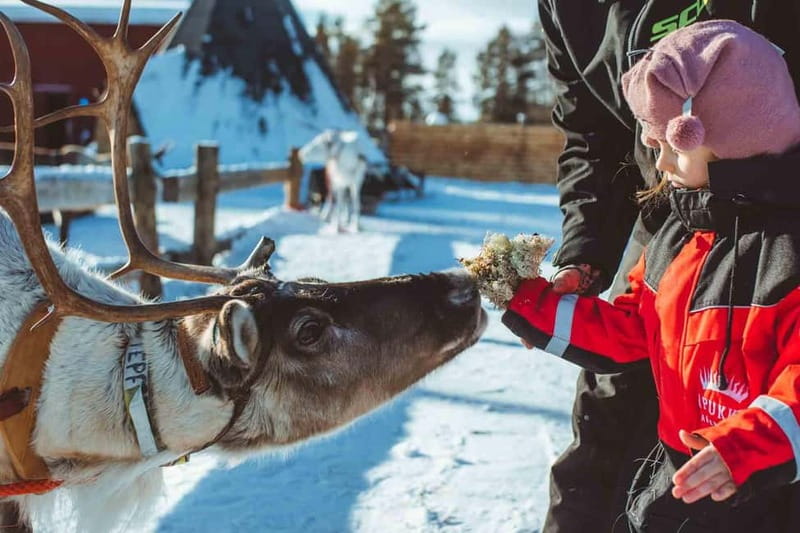 Rovaniemi: Full-Day Snow and Fun Activities - Who this is best for (and who might want a different plan)