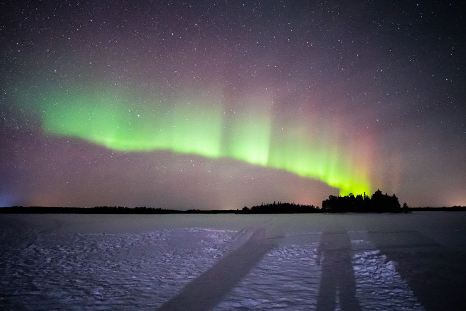 Rovaniemi: Guaranteed Ultimate Aurora Hunt with Photographer - Price and Value: What You’re Really Buying for $127