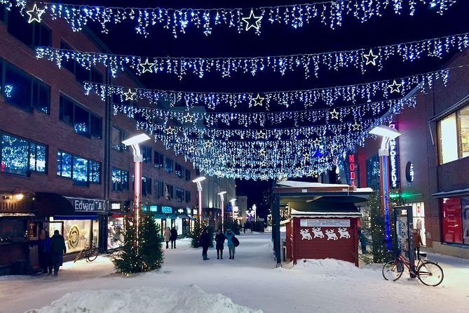 Rovaniemi Guided Tour and Santa Claus Village - Arktikum: the Lapland museum stop (and the admission catch)