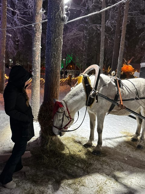 Rovaniemi: Guided Tour of Santa Claus Village - Quick hits before you go