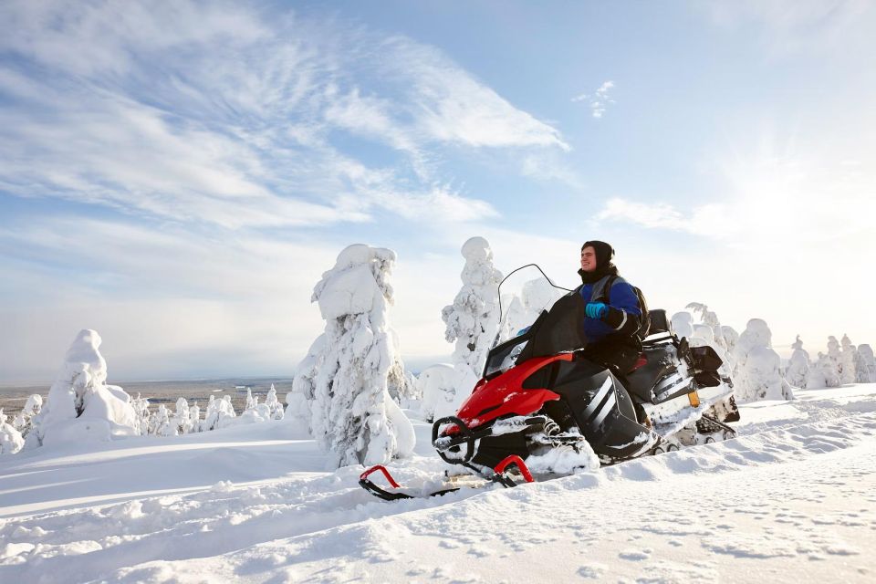 Rovaniemi: Guided Wilderness Snowmobile Ride - Price and Value: Is $121 Worth It in Rovaniemi?
