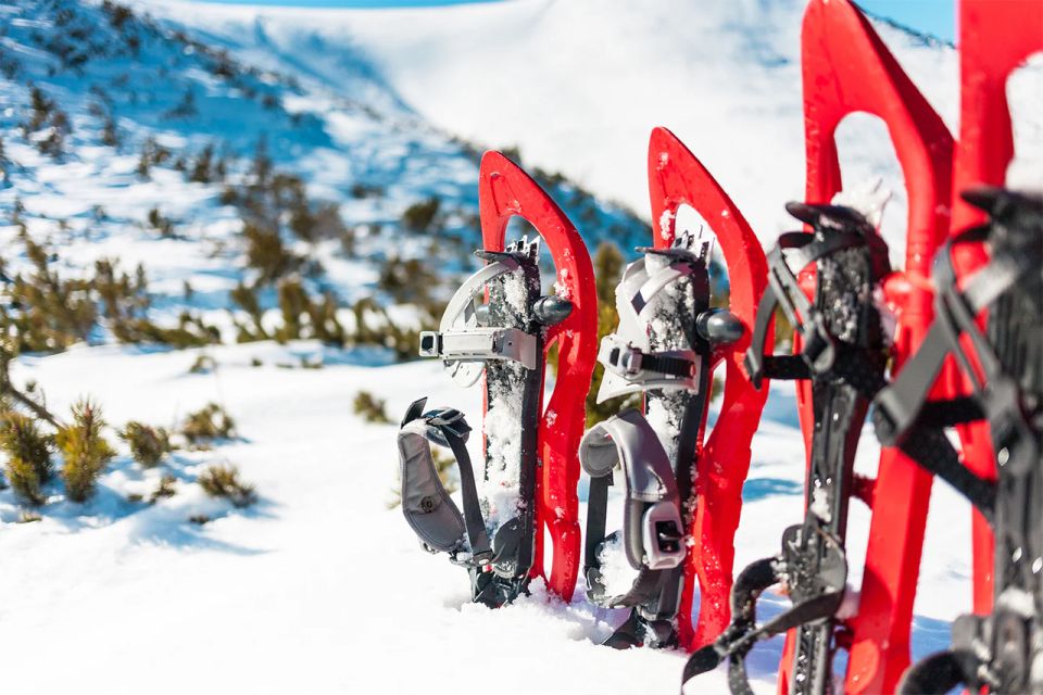 Rovaniemi: Hiking and Snowshoeing Adventure in Lapland - The Start: Snowshoe Basics Done Without Fuss