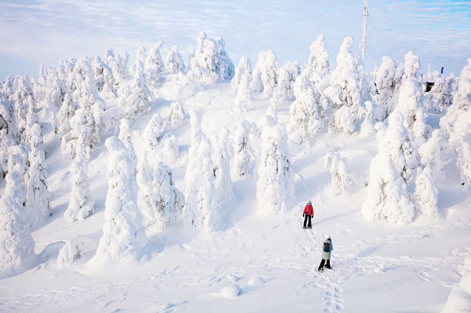 Rovaniemi: Hiking and Snowshoeing Adventure in Lapland - Gear, Pickup, and the Real Setup on a Cold Morning
