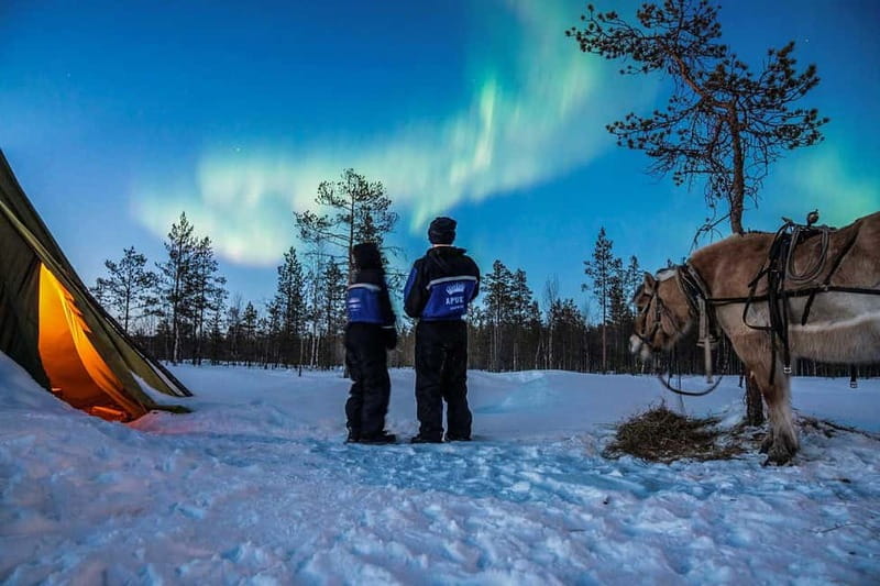 Rovaniemi: Horse Sleigh Ride under the Night Sky - Why This Rovaniemi Horse Sleigh Ride Feels Different Than a Bus Tour