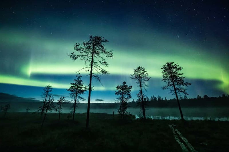 Rovaniemi: Horse Sleigh Ride under the Night Sky - Pickup Timing from Rovaniemi City Center and Santa Claus Village