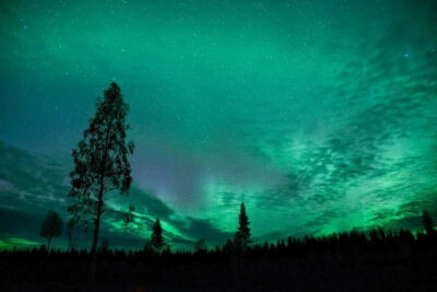 Rovaniemi: Horse Sleigh Ride under the Night Sky - Price and What $185 Buys You in Real Value