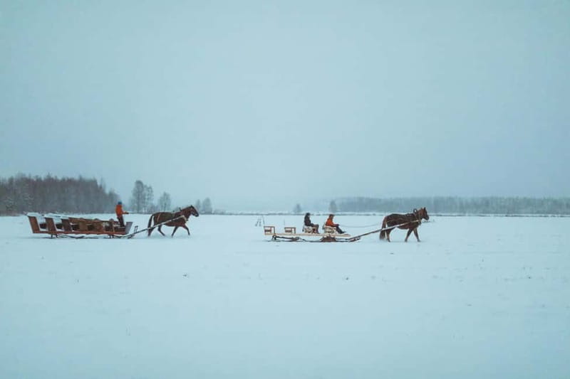 Rovaniemi: Horse Sleigh Ride under the Night Sky - Apukka Resort at Night: A Winter Setting That’s Part of the Show