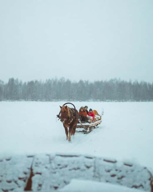 Rovaniemi: Horse Sleigh Ride under the Night Sky - Northern Lights Expectations: Planning for a Show, Not a Guarantee