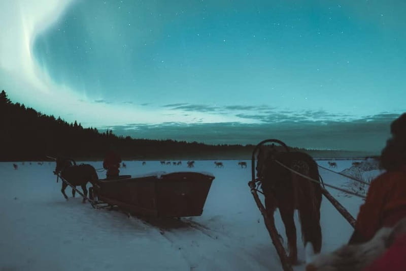 Rovaniemi: Horse Sleigh Ride under the Night Sky - Winter Gear: What’s Provided, and What You Should Still Bring