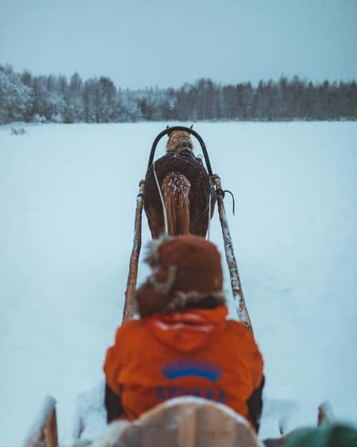 Rovaniemi: Horse Sleigh Ride under the Night Sky - Who This Tour Suits (and Who Might Want Another Option)