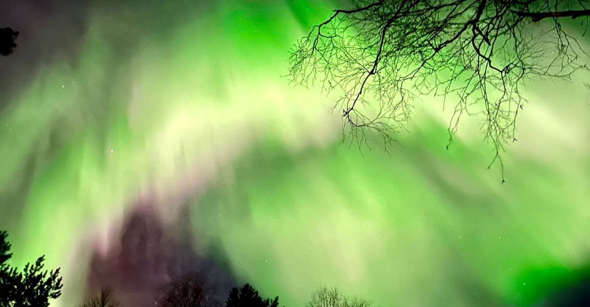 Rovaniemi Hunting Aurora at the Best Spots - Chasing the lights: why this Rovaniemi route makes sense