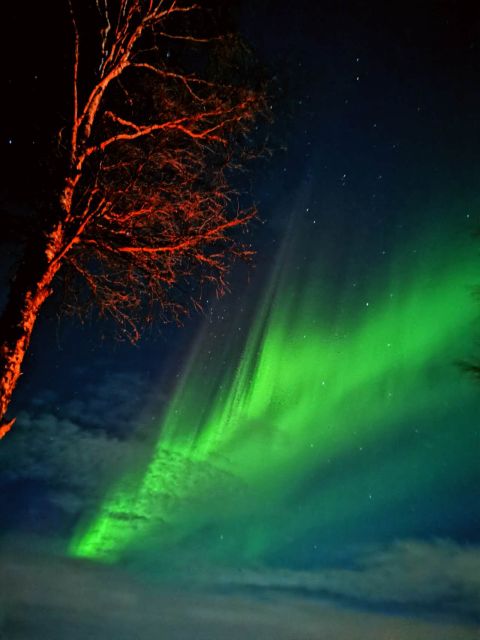 Rovaniemi Hunting Aurora at the Best Spots - Two aurora stops: what you’ll actually be looking at
