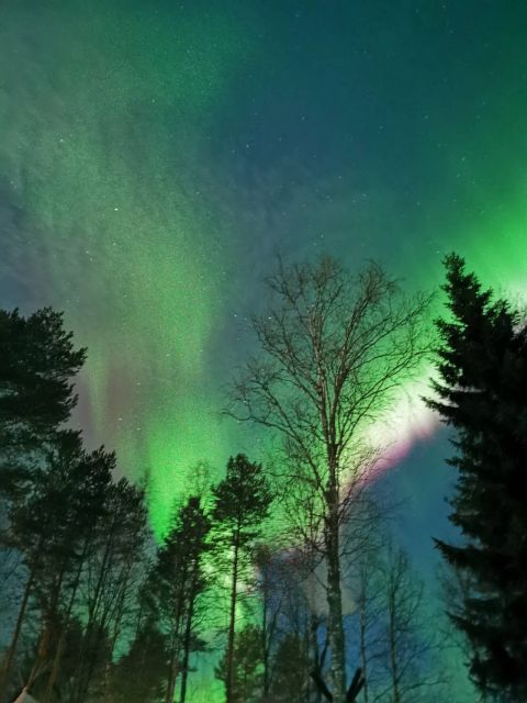 Rovaniemi Hunting Aurora at the Best Spots - The guide’s aurora lesson: what you’ll learn before you photograph
