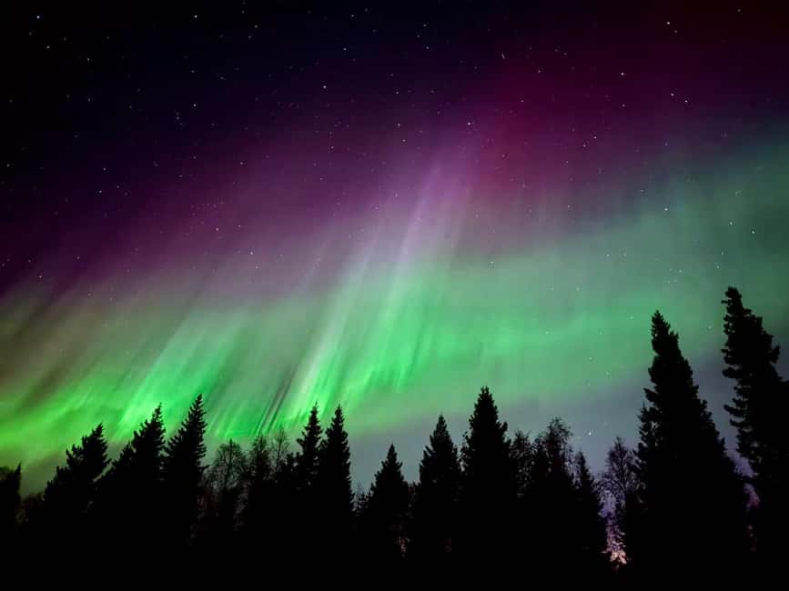 Rovaniemi Hunting Aurora at the Best Spots - Clothing, tea, and the part nobody should ignore