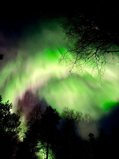 Rovaniemi Hunting Aurora at the Best Spots - Price and value: what $108 buys you at night in Lapland