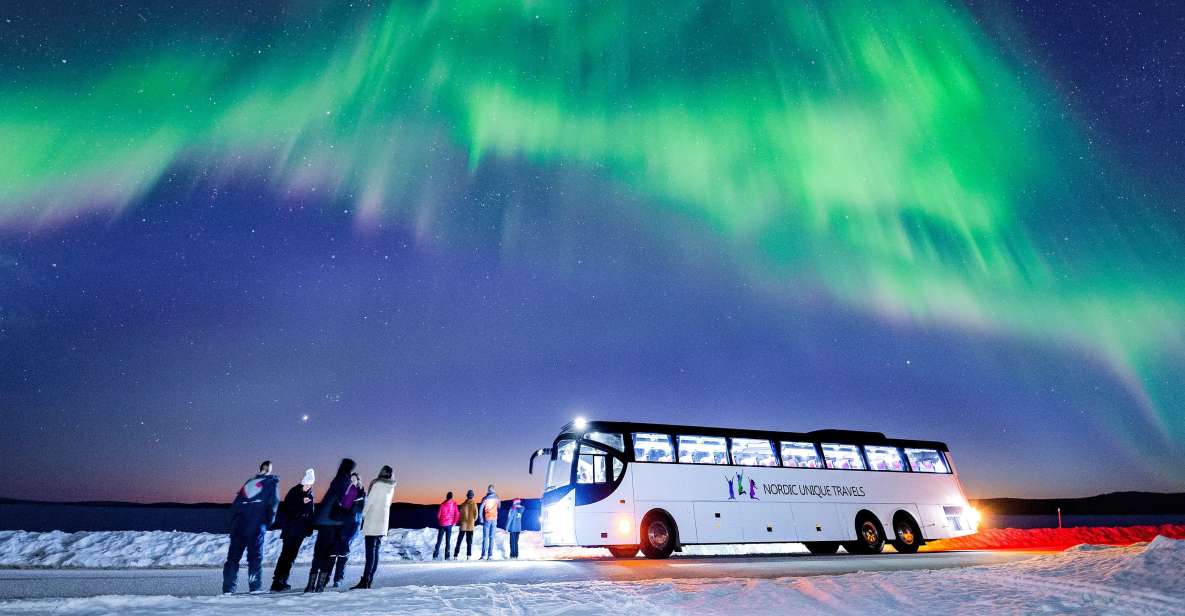 Rovaniemi: Hunting Northern Lights Bus Tour - Key things I’d watch for