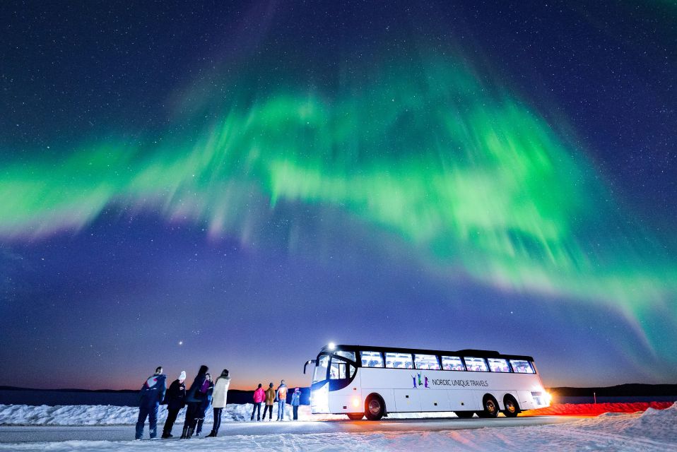 Rovaniemi: Hunting Northern Lights Bus Tour - What you really get for around $57 per person