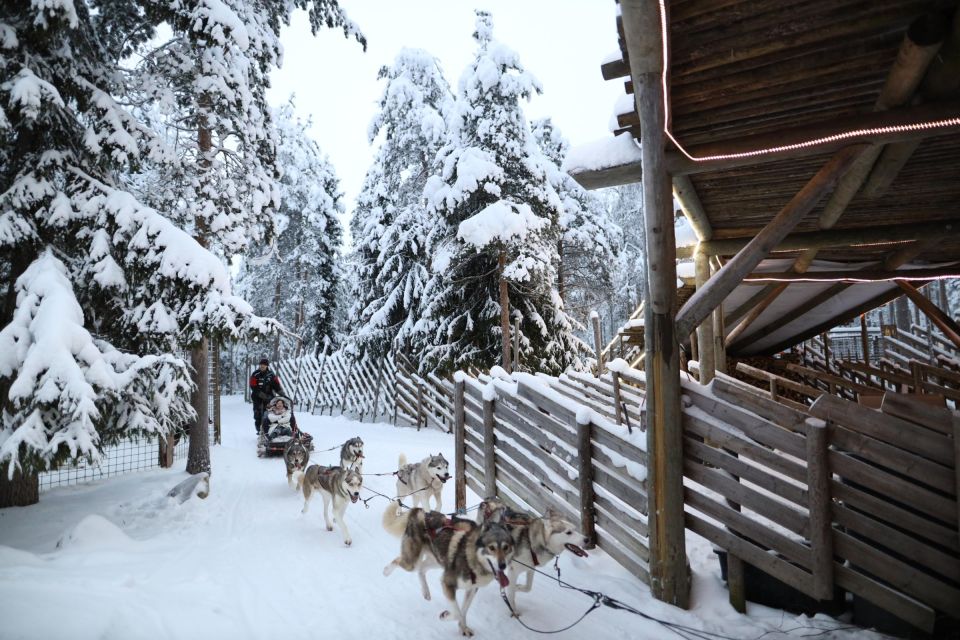 Rovaniemi: Husky and reindeer farm visit with sleigh rides - First Pickup In Rovaniemi: How the 4 Hours Actually Works