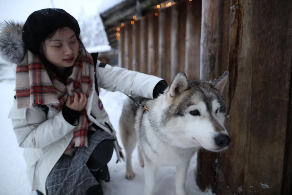 Rovaniemi: Husky and reindeer farm visit with sleigh rides - The Best Part to Watch For: A Guide Who Makes Winter Click