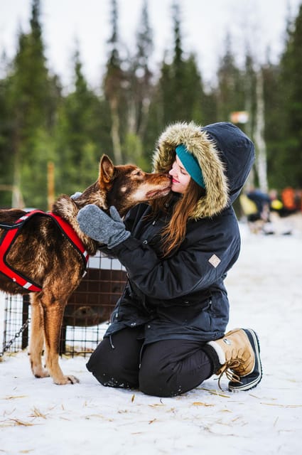 Rovaniemi: Husky and Reindeer farm with sleigh ride - Who this suits best (and who might want a different day)