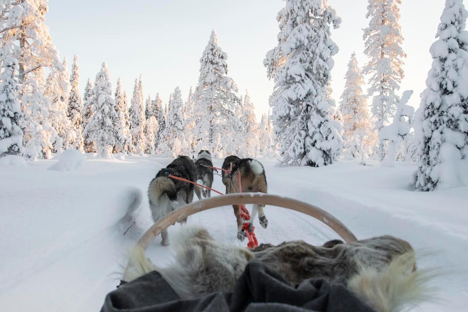 Rovaniemi: Husky and Reindeer farm with sleigh ride - Small rules that keep things smooth
