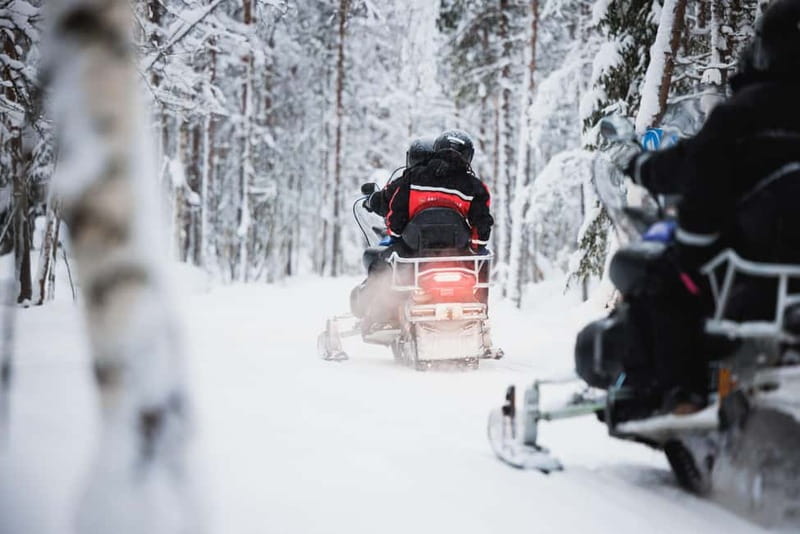 Rovaniemi: Husky & Reindeer Experience with Snowmobile Ride - Book it or skip it