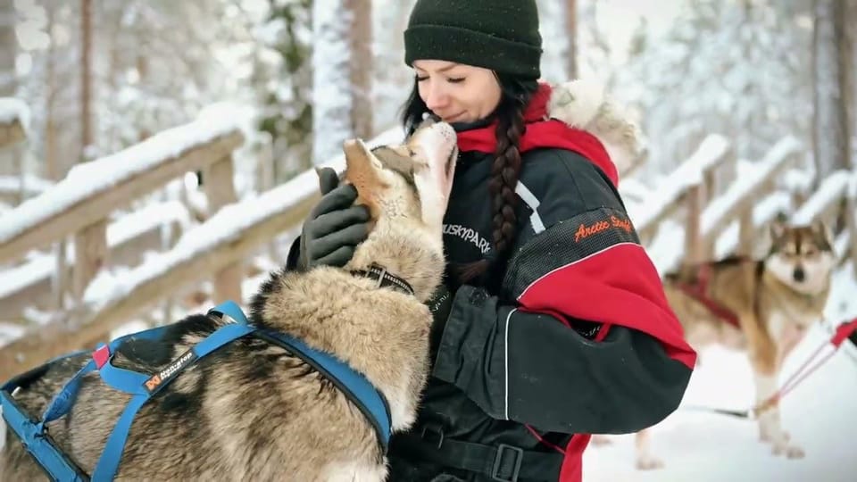 Rovaniemi: Husky Sled Ride with Hotel Transfer - Practical Tips for a Smooth Ride in Rovaniemi Winter