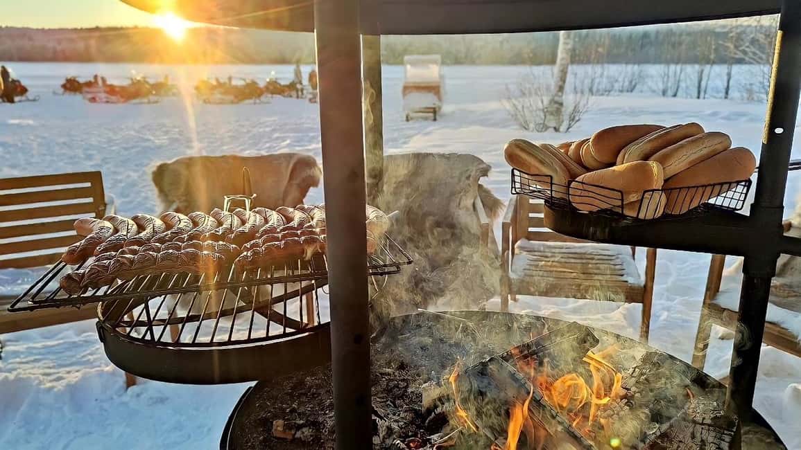 Rovaniemi: Ice Fishing Small Group Tour & Barbeque - Key points worth knowing