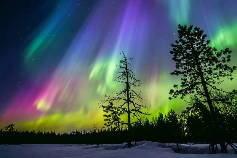 Rovaniemi: Ice Floating in Forest Lake with Aurora Borealis - Why ice floating beats typical Northern Lights hunting