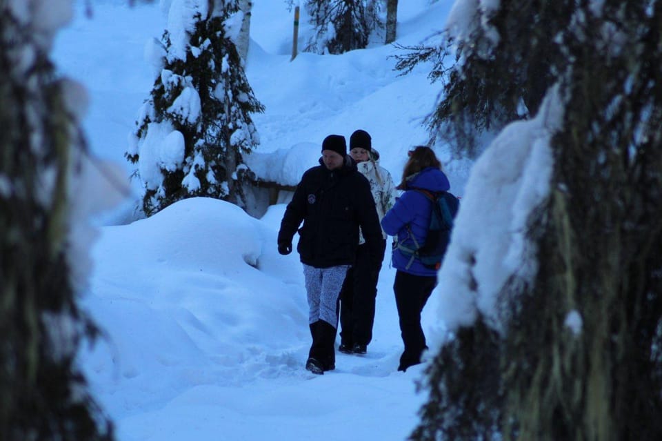 Rovaniemi: Korouoma Canyon Frozen Waterfalls Guided Hike - Price and value of a 7-hour guided winter canyon hike