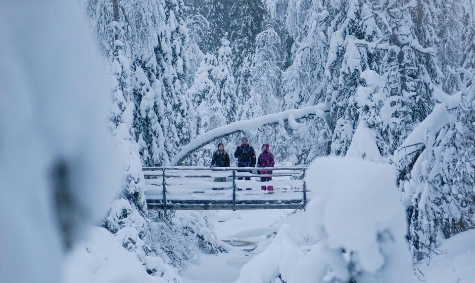 Rovaniemi: Korouoma Canyon Frozen Waterfalls Guided Hike - Who should book Korouoma and who should choose differently
