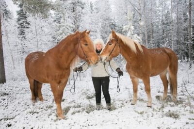 Rovaniemi: Late Night Ride with Finnhorses - Why a Late-Night Finnhorse Ride in Rovaniemi Works So Well