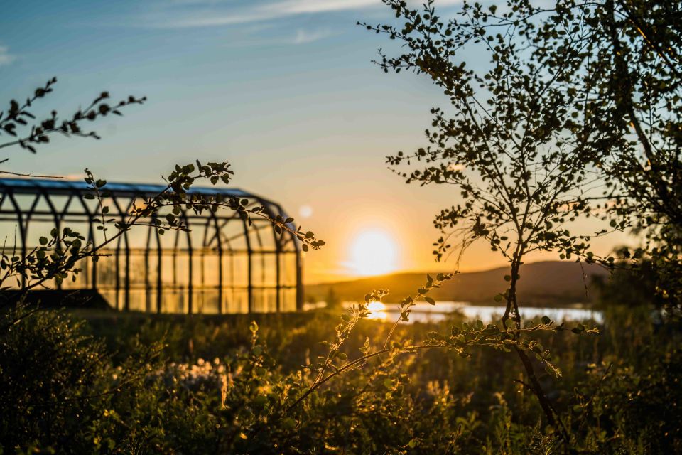 Rovaniemi: Midnight Sun Photography Tour - The Photography Coaching That Actually Improves Your Results