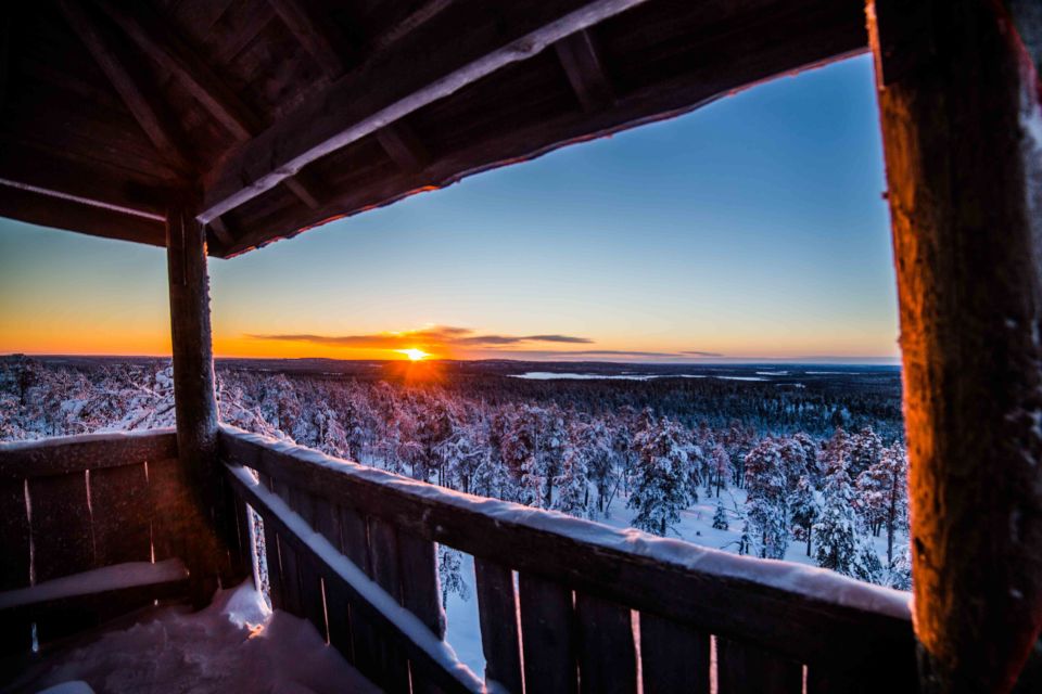 Rovaniemi: Nordic Forest Wilderness Adventure - Key points before you go