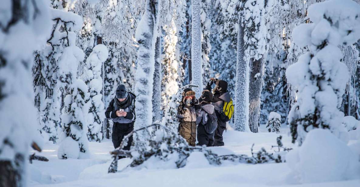 Rovaniemi: Nordic Forest Wilderness Adventure - The river crossing and the winter-forest shift