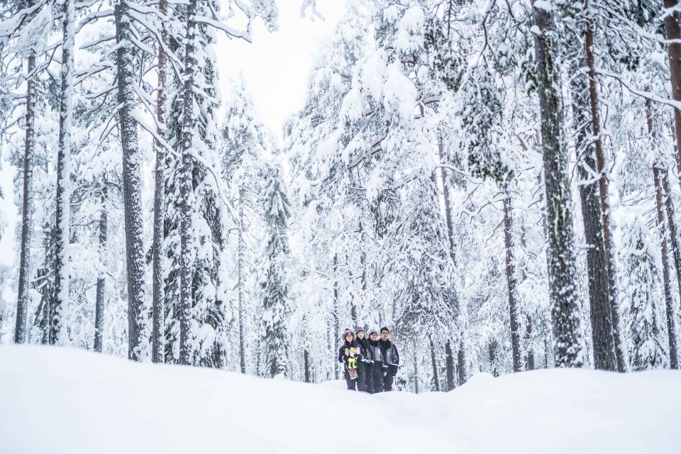 Rovaniemi: Nordic Forest Wilderness Adventure - Climbing to the Arctic fell viewpoint tower