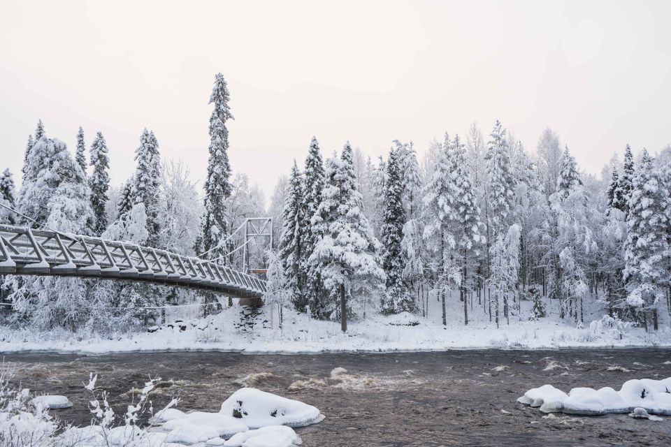 Rovaniemi: Nordic Forest Wilderness Adventure - How the photographer-guide shapes what you capture