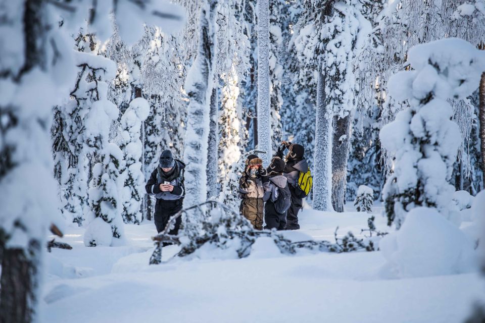 Rovaniemi: Nordic Forest Wilderness Adventure - What’s included (and why it matters in freezing weather)