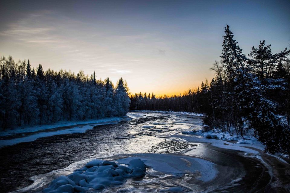 Rovaniemi: Nordic Forest Wilderness Adventure - Duration and pacing: how four hours really feels