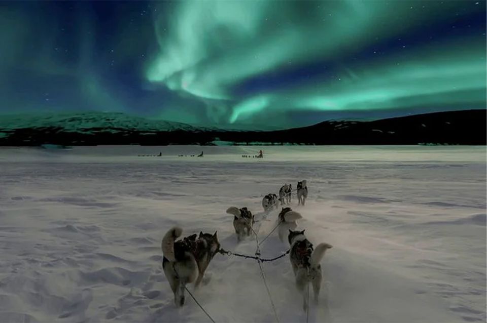 Rovaniemi: Northern Lights and Husky Sleigh Ride - Where you start in Rovaniemi and how to avoid the first stress moment