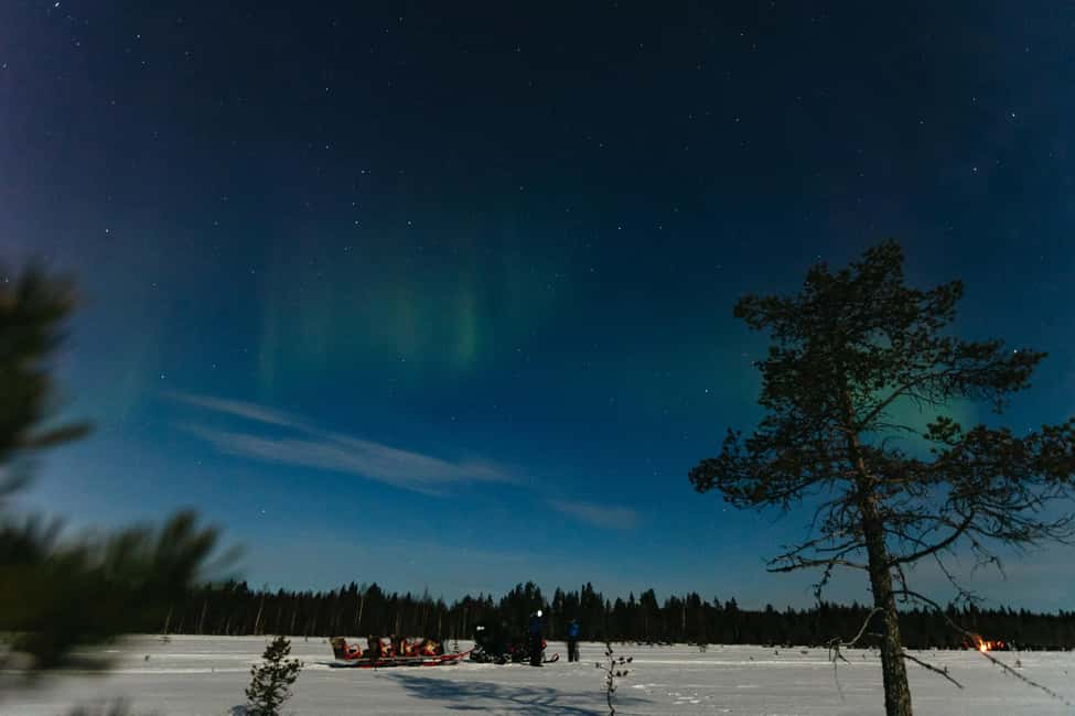 Rovaniemi: Northern Lights Family-Friendly Snowmobile Safari - The Northern Lights Hunt: How to Think About Chances Without Killing the Mood
